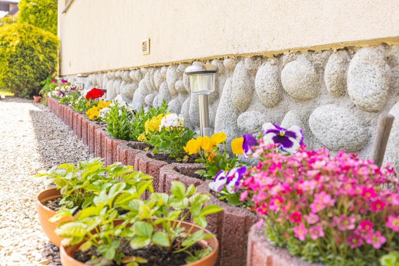 Czarna Gora Apartamenty Tatry Gory Bialka Bukowina Agroturystyka Extérieur photo